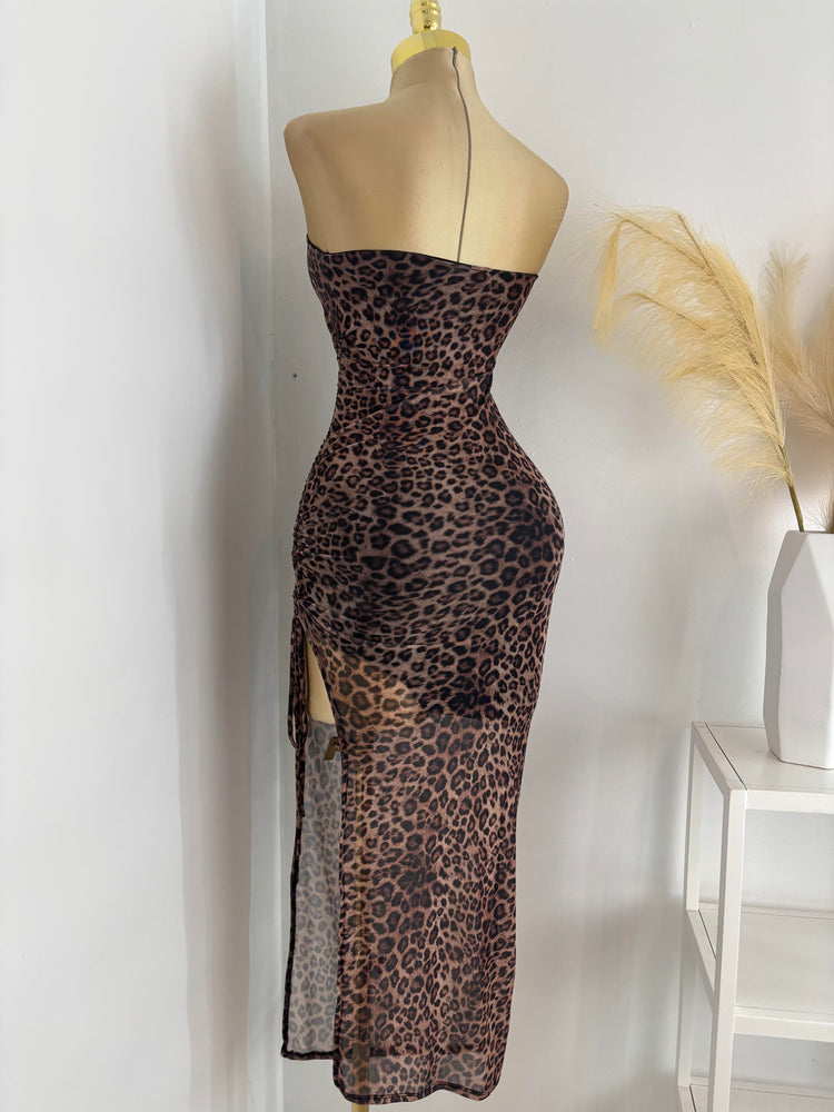 Layla Mesh Strapless Dress